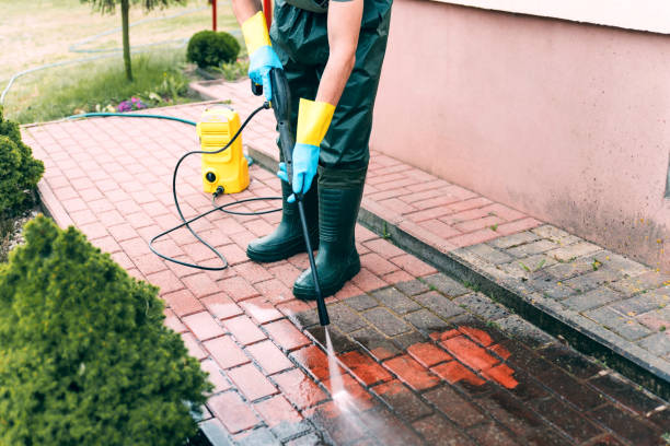 Reliable Lynwood, IL Pressure Washing Solutions